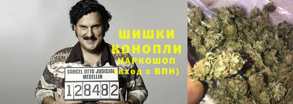 спиды Вязьма