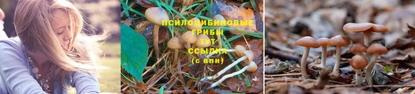 тгк Вяземский