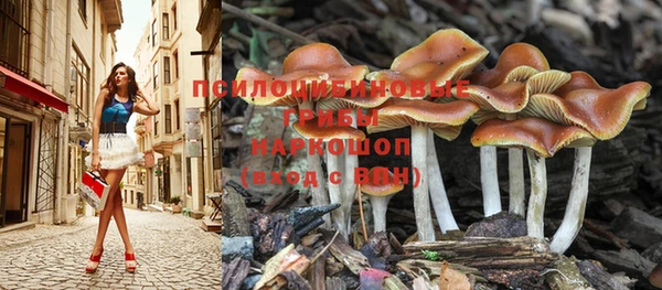 хмурый Вязники
