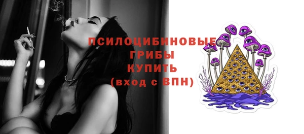 хмурый Вязники