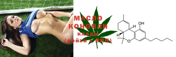 тгк Вяземский