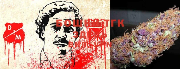 тгк Вяземский