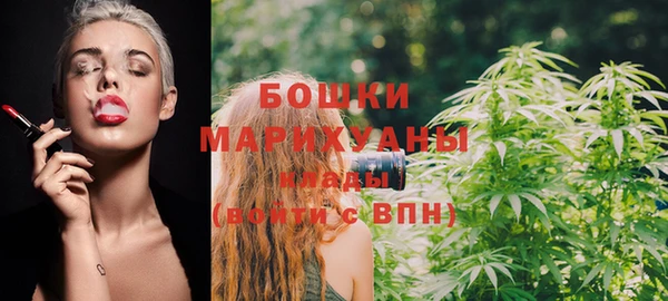 тгк Вяземский