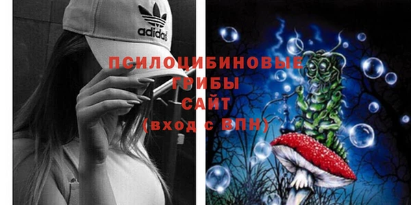 хмурый Вязники