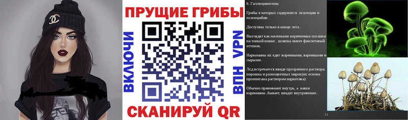 Купить  Котельники  Галлюциногенные грибы Psilocybine cubensis 
