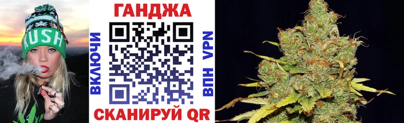 Купить закладки  Котельники  Конопля сатива 